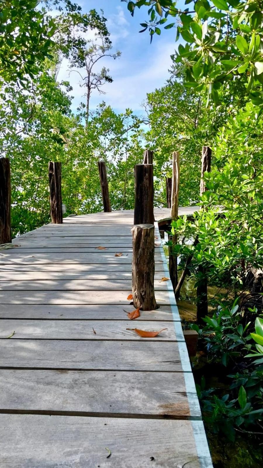 Villa Luzo & Tours Saonek المظهر الخارجي الصورة