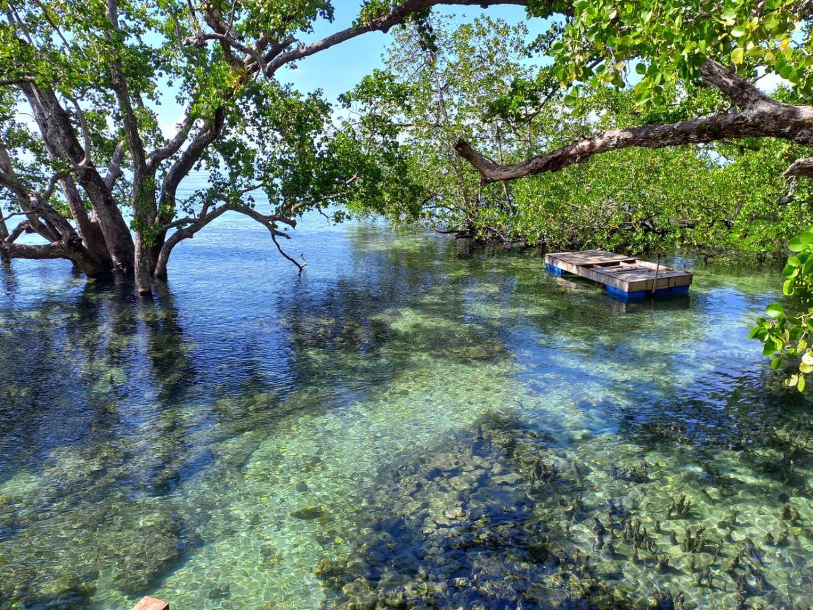 Villa Luzo & Tours Saonek المظهر الخارجي الصورة